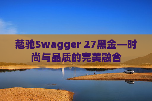蔻驰Swagger 27黑金—时尚与品质的完美融合 蔻驰Swagger 27黑金—时尚与品质的完美融合